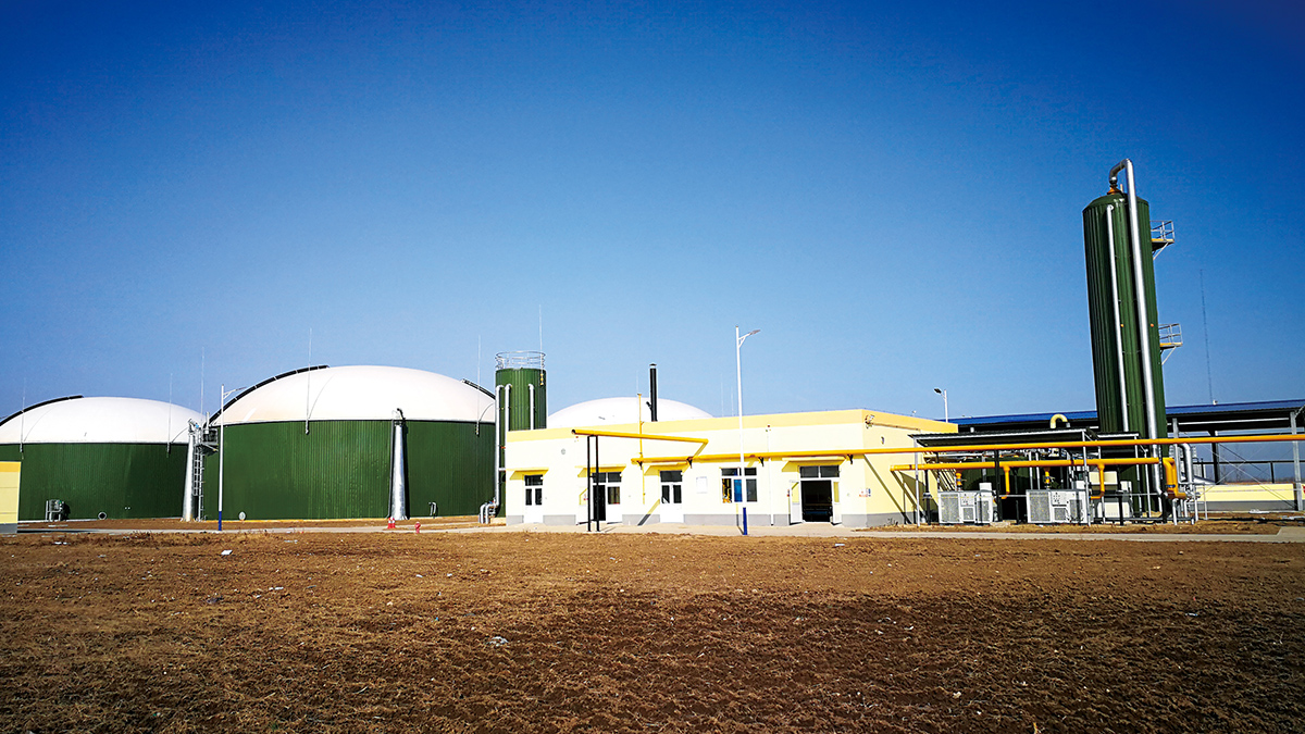 Yongcheng, Henan | COFCO Group Breeding Base Biogas Power Generation Project