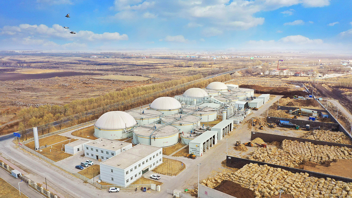 Harbin, Heilongjiang | Derun (Wuchang) Biomass Cogeneration Project