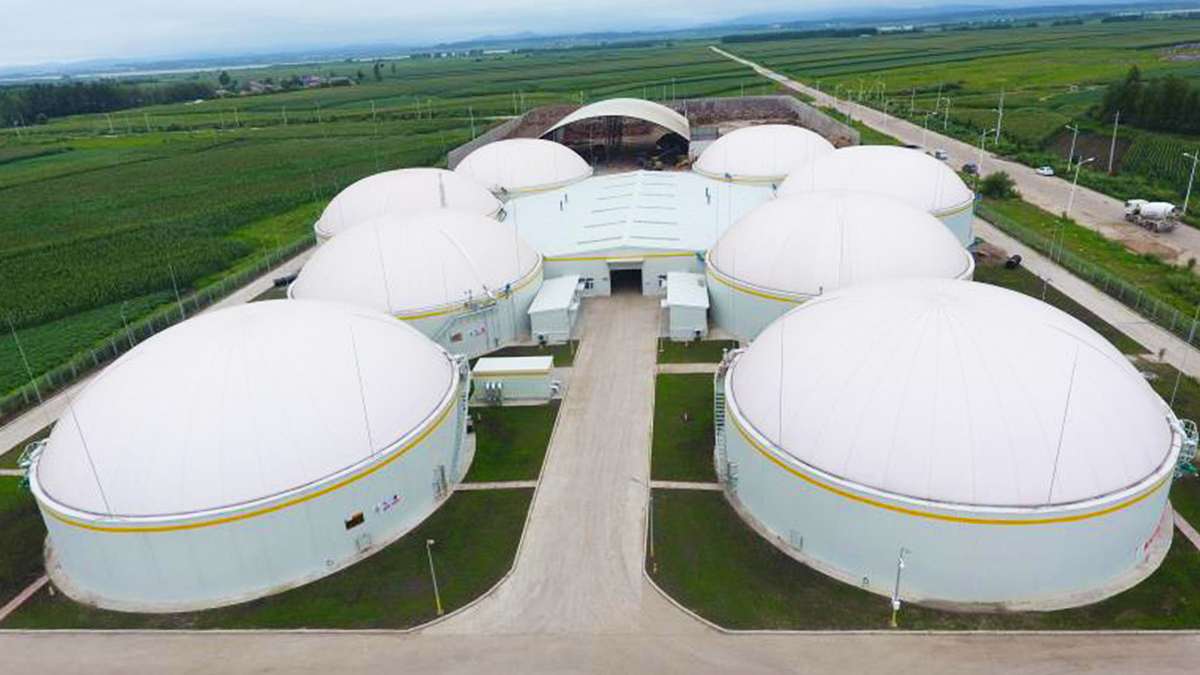 Harbin, Heilongjiang | Derun (Yilan) Biomass Cogeneration Project